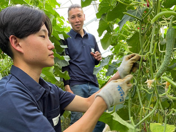 邑楽館林施設園芸等担い手受入協議会-4