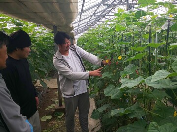 邑楽館林施設園芸等担い手受入協議会-5