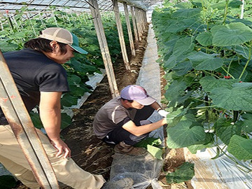 邑楽館林施設園芸等担い手受入協議会-6