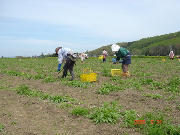 株式会社丸巳-4