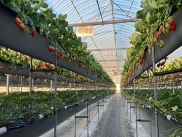 ハッピー農園株式会社-8