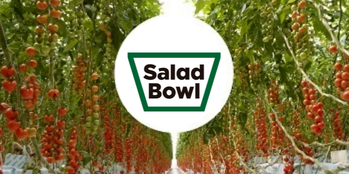 地域に価値を届ける「農業の新しいカタチ」を追求する農業法人☆世界中で注目される技術を活用したハウスで、野菜の栽培・生産・集出荷管理担当をマネージャー候補で募集！