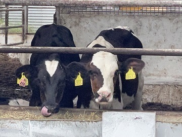 北海道鹿追町×肉牛・畑作/法人【37260】-top