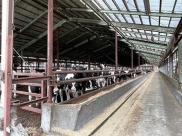 北海道鹿追町×肉牛・畑作/法人【37260】-1