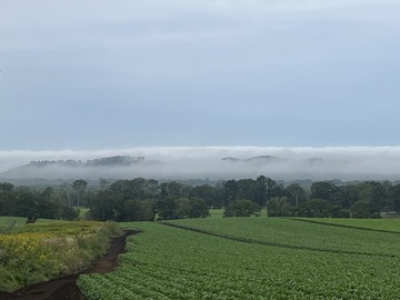 有限会社茅沼齋藤ファーム-7