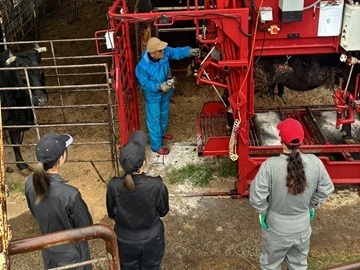 株式会社削蹄舎(削蹄所＆家畜診療所)-6