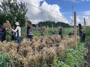 有限会社茅沼齋藤ファーム-top