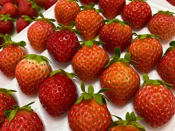 株式会社Japan Fruits-5