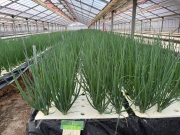 有限会社宮内農園-2