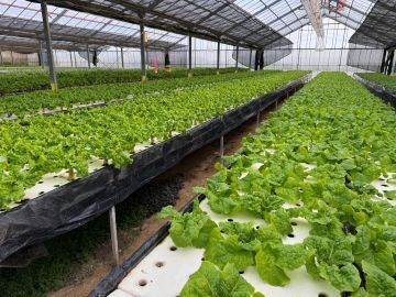 有限会社宮内農園-3