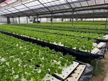 有限会社宮内農園-6