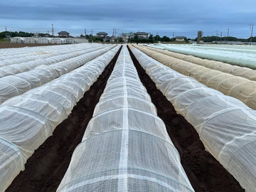 オーセンファーム-6