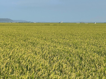 オーセンファーム-7