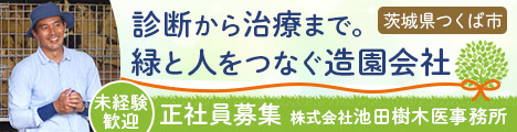 樹木の診断・治療まで手掛けている希少な造園会社で正社員募集！未経験歓迎☆