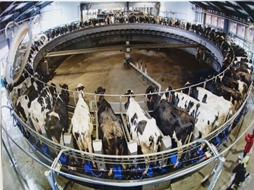 有限会社希望園-5