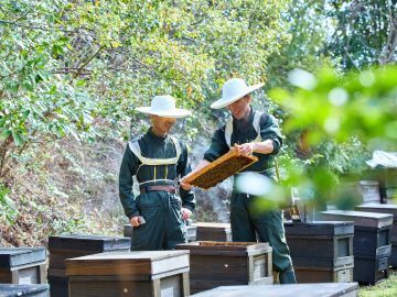 株式会社長坂養蜂場-6
