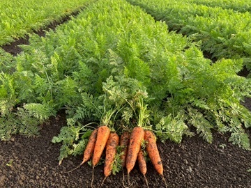 株式会社マルワ-1