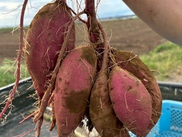 株式会社マルワ-4