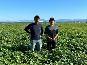 株式会社マルワ-top