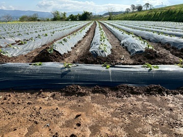 株式会社マルワ-5