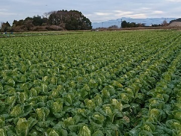 株式会社すえ広ファーム【農機オペレーター】-3