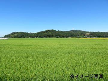 三重県伊賀市×稲作/法人【41168】-1