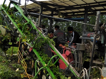 株式会社丸巳-3