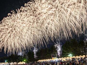 鳥取県北栄町 地域おこし協力隊募集【イチゴ栽培を通した農業振興】-7
