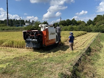 御牧ひまわり農園-6