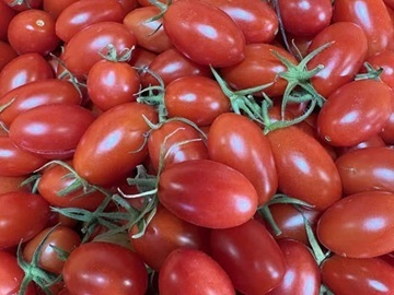 御牧ひまわり農園-4