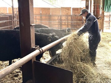 有限会社グリーンサポート-3