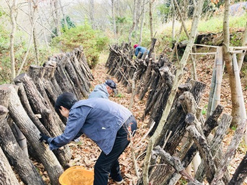 東洋コンサルタント株式会社-6