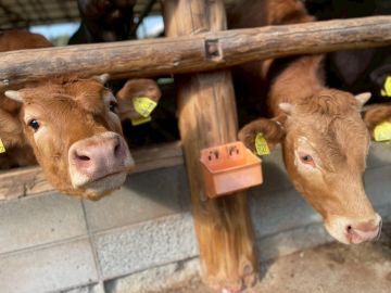 齊藤ファーム-1