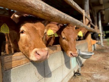 齊藤ファーム-5