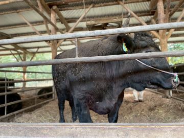 齊藤ファーム-6