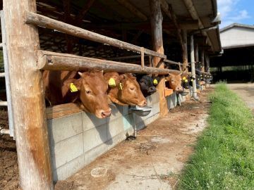 齊藤ファーム-7