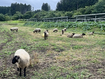 株式会社OFF THE GRID-1