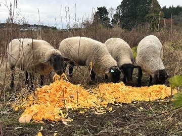 株式会社OFF THE GRID-2