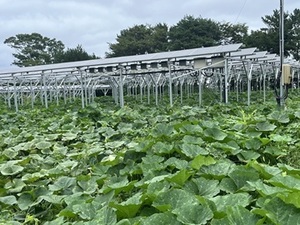 株式会社OFF THE GRID-top