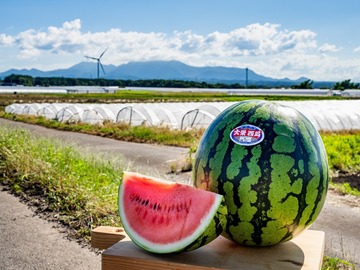 鳥取県北栄町 地域おこし協力隊募集【イチゴ栽培を通した農業振興】-4