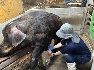 有限会社前原兄弟畜産-3