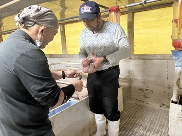 有限会社前原兄弟畜産-1