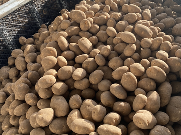 合同会社いなだ農場-1