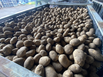 合同会社いなだ農場-2