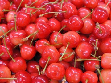 窪田農園(山梨)-1