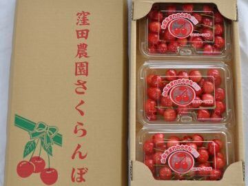 窪田農園(山梨)-4