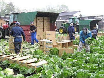 一場良一農園-1