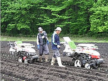 一場良一農園-3