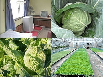 一場良一農園-4