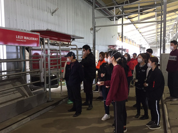 有限会社阿部牧場(熊本県)-5